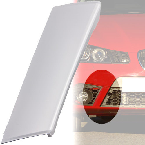 Seat ibiza facelift 09 - ibiza,